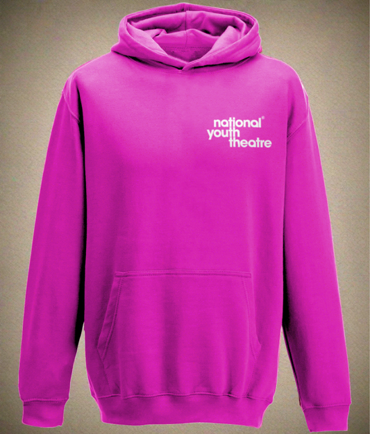 Classic NYT Pink Hoodie